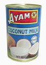 【業務用】GABAN　AYAM　ココナッツミルクCoconut Milk4号缶　400ML【RCP】【10P24jul13】