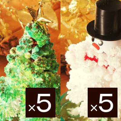 ●送料無料マジッククリスマスツリー/マジックツリー/MAGIC CHRISTMAS TREE/葉が生える不思議な...