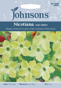 【輸入種子】背が高く美しい花を咲かせます！Johnsons SeedsNicotiana Lime Greenニコチアナ（...