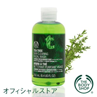 ＜洗顔料＞ | Tea Tree Skin Clearing Facial Wash【正規品】スキンクリアリング フェイシャル...