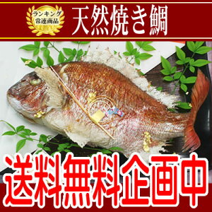 お食い初め お誕生日など晴れの日めでたい日は、淡路島魚幸の天然焼き鯛！味・姿・ともに特別な...
