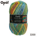【メール便不可】Opal 靴下用毛糸　Hundertwasser 3200