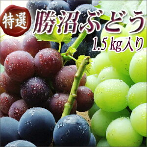 NHK「キッチンが走る！」で杉浦太陽さんから紹介された「ぶどうばたけ」の美味しいブドウ♪19種...