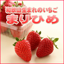 【送料無料】和歌山生まれの新品種イチゴ≪まりひめ≫大粒2パック　クール便無料