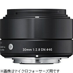 【送料無料】シグマ30mm F2.8 DN（ソニーE／ブラック） [30F2.8DN]