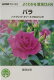 NHK趣味の園芸−よくわかる栽培12か月 「バラ」