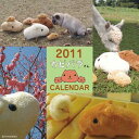 【送料無料】カピバラさんカレンダー壁かけタイプ 2011