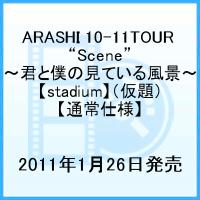 【送料無料】【通常仕様】ARASHI 10-11TOUR “Scene”～君と僕の見ている風景～【stadium】【通...
