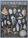 日本近海産貝類図鑑