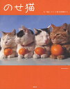 【1000円以上送料無料】のせ猫　かご猫シロと3匹の仲間たち／SHIRONEKO