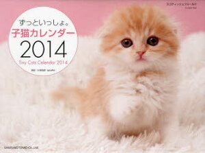 　【1000円以上送料無料】カレンダー　’14　ずっといっしょ。子猫