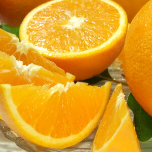 武内さんちのバレンシアオレンジご家庭用　サイズ混合5kg有田郡吉備町奥(おき)地区から