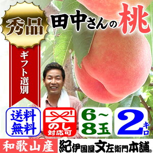 桃!モモ!もも! 送料無料 紀州和歌山田中さんちの大きなわかやまの桃（もも）　約2kg箱　和歌山...