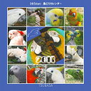 2011年版TSUBASA 365days 鳥どりカレンダー