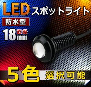 小玉 LED スポットライト 5色選択可能 【05P19Dec15】