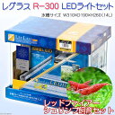 （エビ・貝）後日生体　レグラス　R−300　LEDライト　水槽セット　レッドファイアーシュリンプ