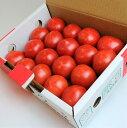 【フルーツトマト】【送料無料】楽天最安値に挑戦。これがトマト？　旨味と甘みがぎっしり詰ま...