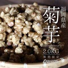 九州 野菜★菊芋[2kg] 天然のインスリンと呼ばれている菊芋♪[数量限定][配送日指定不可]…