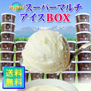 【送料無料】フロム蔵王 HybridスーパーマルチアイスBOX24【アイスクリーム】【お中元・…