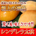 熊本産シンデレラ太秋柿シンデレラ太秋柿　特秀　2個木箱入り　　10月より収穫予定です