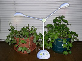 太陽光なしでも、優しい光で植物がすくすく成長！植物育成LEDマイプラント