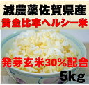 佐賀県産（減農薬）発芽玄米配合の黄金比率ヘルシー米5kg（佐賀県知事認証特別栽培米）送料無料
