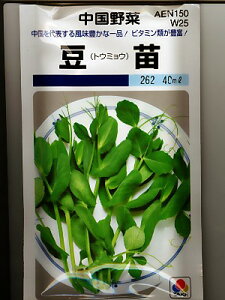中国野菜　タキイ・・・豆苗・・・タキイの中国野菜です。　種のことならお任せグリーンデポ