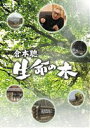 【25%OFF】[DVD] 倉本聰 生命の木