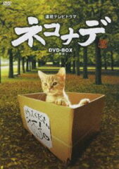 25%OFF[DVD] ͥʥ DVD-BOX