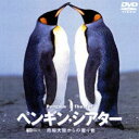 ペンギン・シアター／南極大陸からの贈り物(DVD) ◆20%OFF！