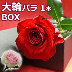 大臣賞 バラ1本BOXバラ 花束を誕生日(お誕生日 還暦)のお祝いのお花(花束)に。退職祝い(退職 送別 送別会)結婚記念日(記念日)結婚祝いのお花のプレゼント ギフト(贈り物)やお見舞いにばら 花束を。赤/ピンク/の薔薇の花束を送料無料で 花 (1輪 ボックス) 花束 2022