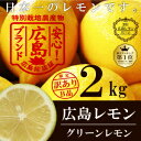 広島レモンはレモン出荷総数日本一！【皮までまるごと♪塩レモン作りにどうぞ！】【出荷総数日...