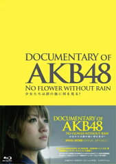 Bungee Price Blu-ray【送料無料】 AKB48 エーケービー / DOCUMENTARY OF AKB48 NO FLOWER WITH...