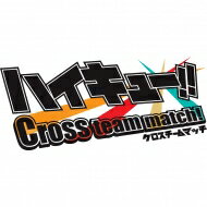 【送料無料】 ニンテンドー3DSソフト / ハイキュー!!　Cross team match！…