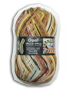 【OPEN特別価格】Opal 靴下用毛糸　Hundertwasser 1436
