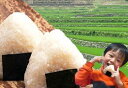【米　お米】【送料無料】　ミルキークイーン　一合150グラム（150g）自然農法棚田米ミルキーク...