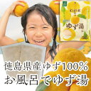 お得【送料無料】徳島県産ゆず使用《入浴用ゆず湯 20g×4P入り1ケース》(20袋）80回分　…