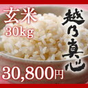 【無農薬】新潟県産コシヒカリ　玄米　30kg　「越乃真心」