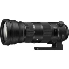 《新品》 SIGMA（シグマ） S 150-600mm F5-6.3 DG OS (キヤノン用） [ Lens | 交換レンズ ]
