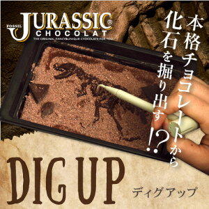 【恐竜】最高級チョコレートを使った、割って！掘って！楽しむチョコレート★ジュラシックショコラ【ディグアップ】（チョコレート）【お子様へ】【お子様に人気♪】
