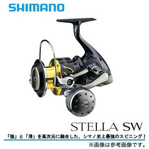 シマノ　ステラSW　6000HG / 2013モデル スピニングリール / SHIMANO　S…