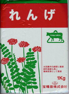 景観用緑肥　れんげ　レンゲ　種子　1kg