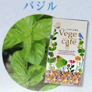 ドリップで育てる野菜シリーズ【Vege Cafe 〜ベジ・カフェ〜】　「バジル」 20袋セット