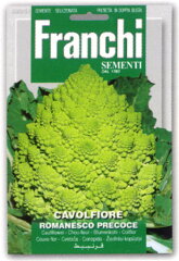 【イタリアの野菜の種】　Franchi社カリフラワー・ロマネスコ