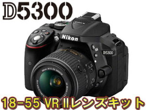【送料無料】【smtb-u】【Nikon\5000キャッシュバックキャンペーン！】 Nikon/ニコン D5300 18-...
