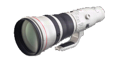 【送料無料】キヤノン EF800mm F5.6L IS USM 単焦点レンズ　超望遠 【取り寄せ約2ヶ月ほど】