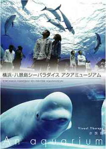 【送料無料選択可！】NHKDVD 水族館 ～An Aquarium～ 横浜・八景島シーパラダイス アクアミュー...