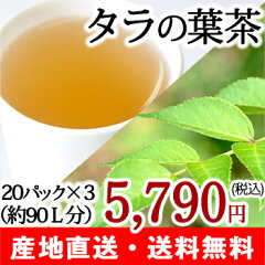 【送料無料】無農薬 タラの葉茶 タラ茶 20パック×3箱 カフェインフリー健康茶 お茶【注目成…