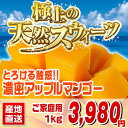 南国沖縄からの贈り物|沖縄産マンゴーをご家庭用に格安料金でご用意いたしました。2kg以上で送...