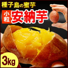 プチ安納芋(3kg)種子島産 サツマイモ さつま芋 蜜芋 送料無料